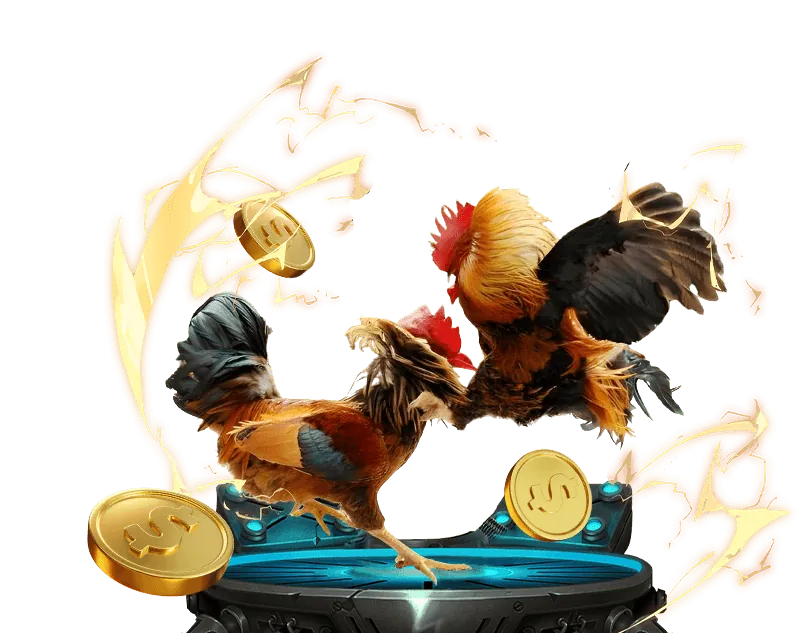 Cá cược thể thao tại suncity888